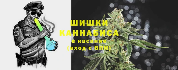 гидра Верхний Тагил
