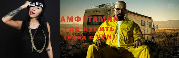 сатива Бородино
