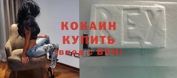 сатива Бородино