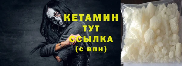 сатива Бородино