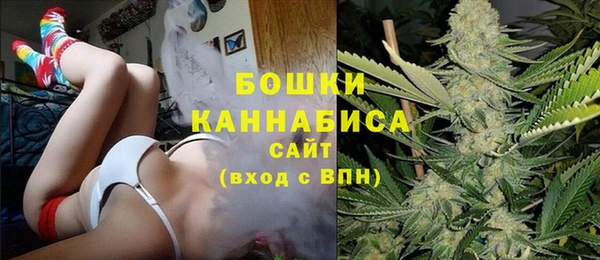 сатива Бородино