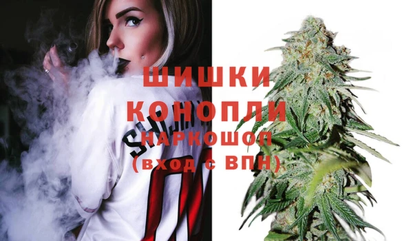 сатива Бородино