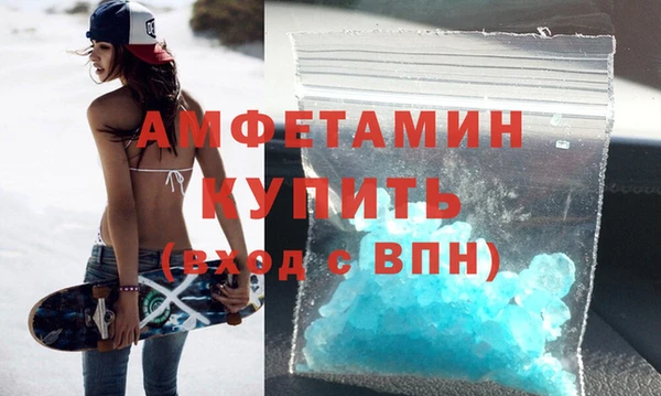 сатива Бородино