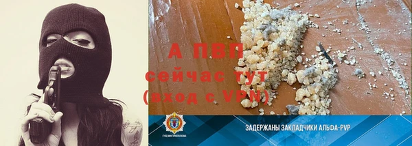 гидра Верхний Тагил