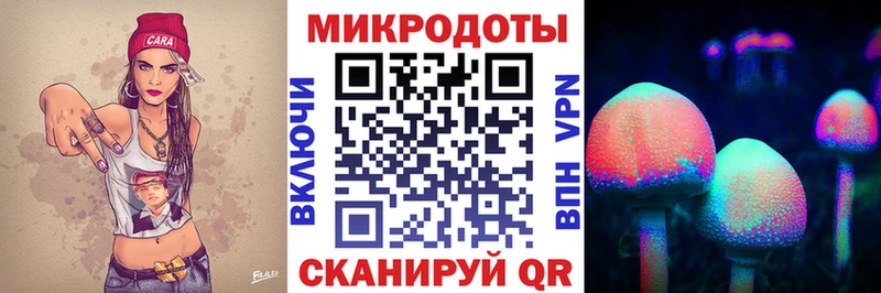 kraken маркетплейс  Черкесск  Псилоцибиновые грибы мицелий 